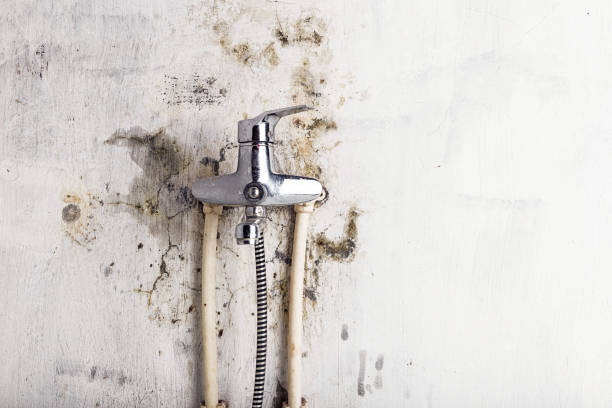 Trusted Calera, OK Mold Remediation Experts