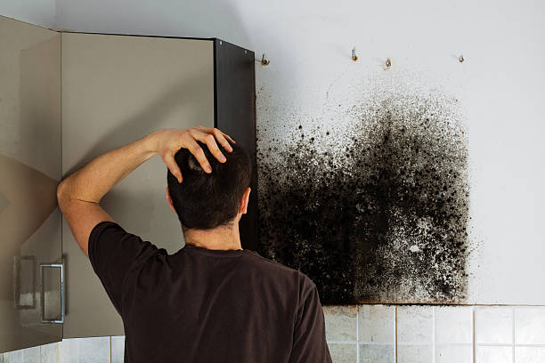 Best Crawl Space Mold Remediation in Calera, OK
